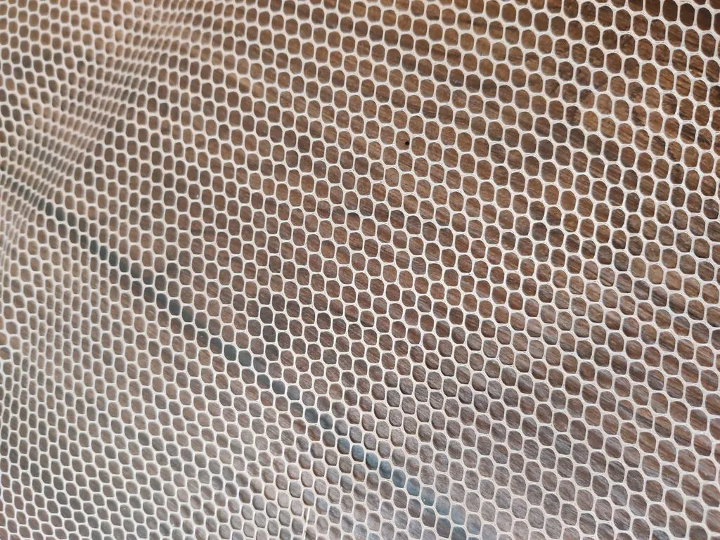 Beige Can Can Fabric